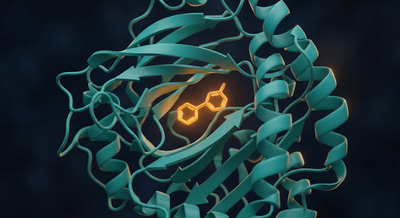 3D render of a small-molecule inhibitor bound in the pocket of a RAS oncoprotein