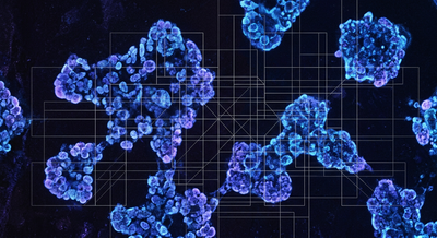 FDA rare disease framework concept: translucent regulatory lattice over glowing cell clusters