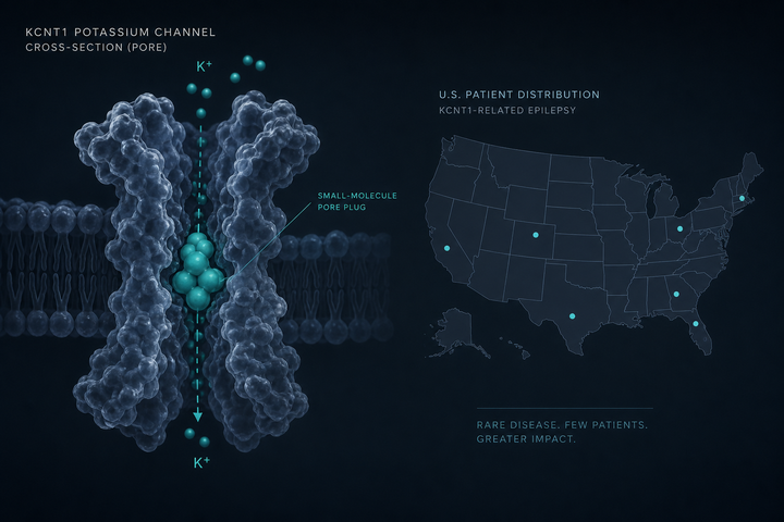 Editorial cross-section of a KCNT1 potassium channel with a small-molecule plug, beside a sparse U.S. map implying 2,500 patients
