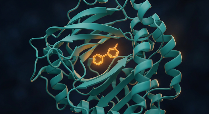 3D render of a small-molecule inhibitor bound in the pocket of a RAS oncoprotein