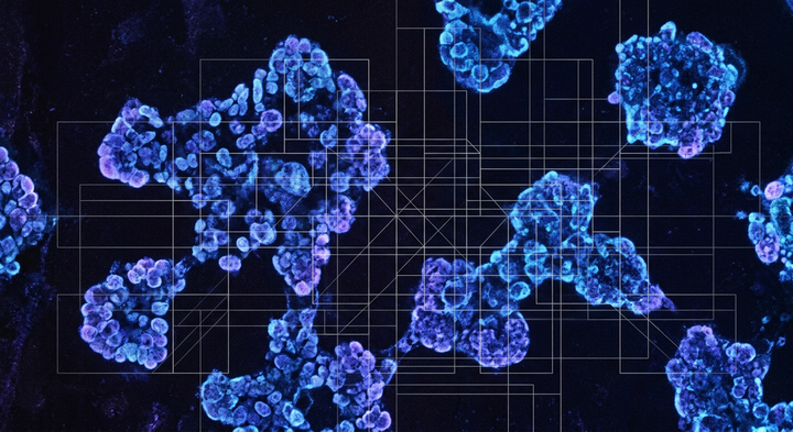 FDA rare disease framework concept: translucent regulatory lattice over glowing cell clusters